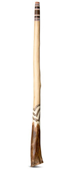 Heartland Didgeridoo (HD340)